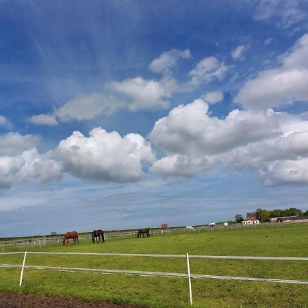 Braemar Equestrian, East Riding Of Yorkshire Hotel Burton Pidsea Luaran gambar