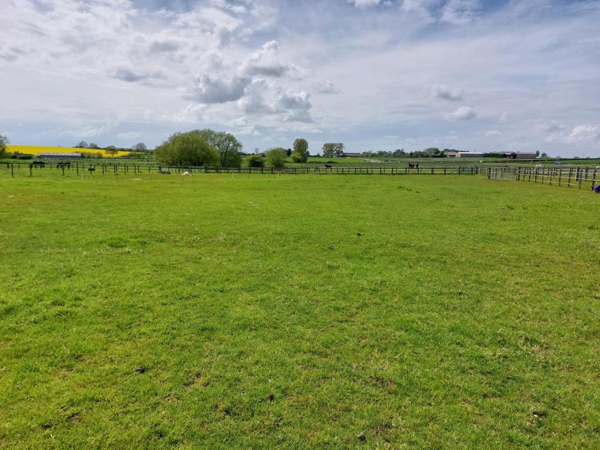 Braemar Equestrian, East Riding Of Yorkshire Hotel Burton Pidsea Luaran gambar